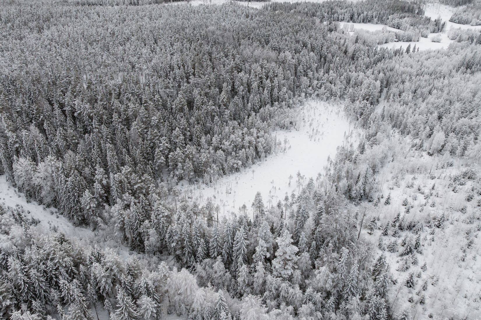 Gård/Skog, SKELLEFTEÅ KUSMARK 17:40, Kusmark, Skellefteå