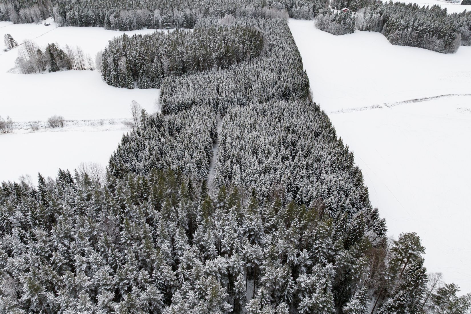 Gård/Skog, SKELLEFTEÅ KUSMARK 17:40, Kusmark, Skellefteå