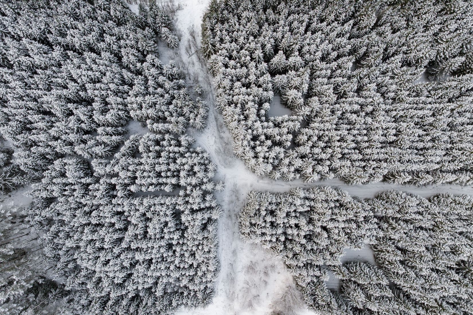 Gård/Skog, SKELLEFTEÅ KUSMARK 17:40, Kusmark, Skellefteå