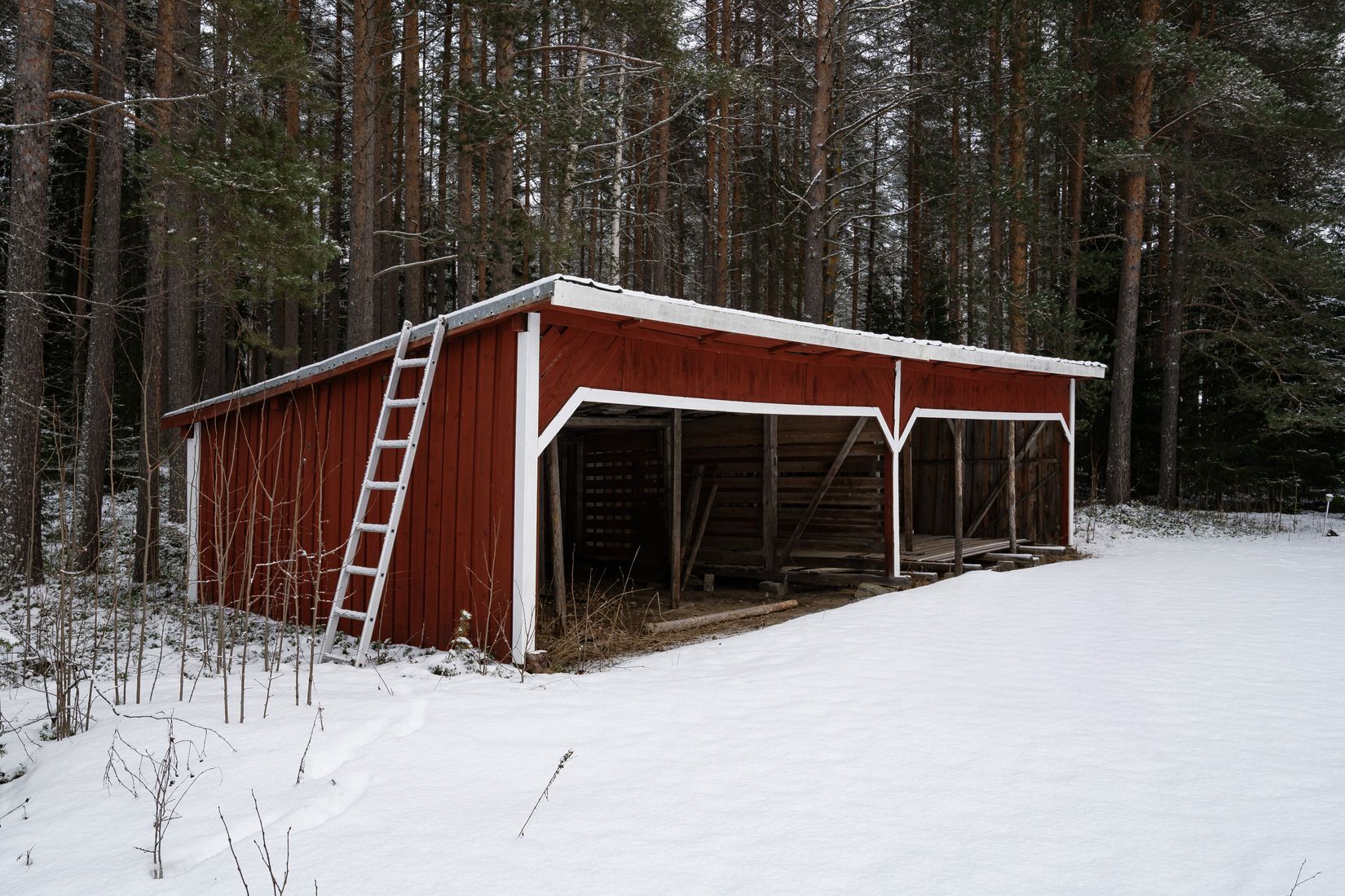 Gård/Skog, SKELLEFTEÅ KUSMARK 17:40, Kusmark, Skellefteå