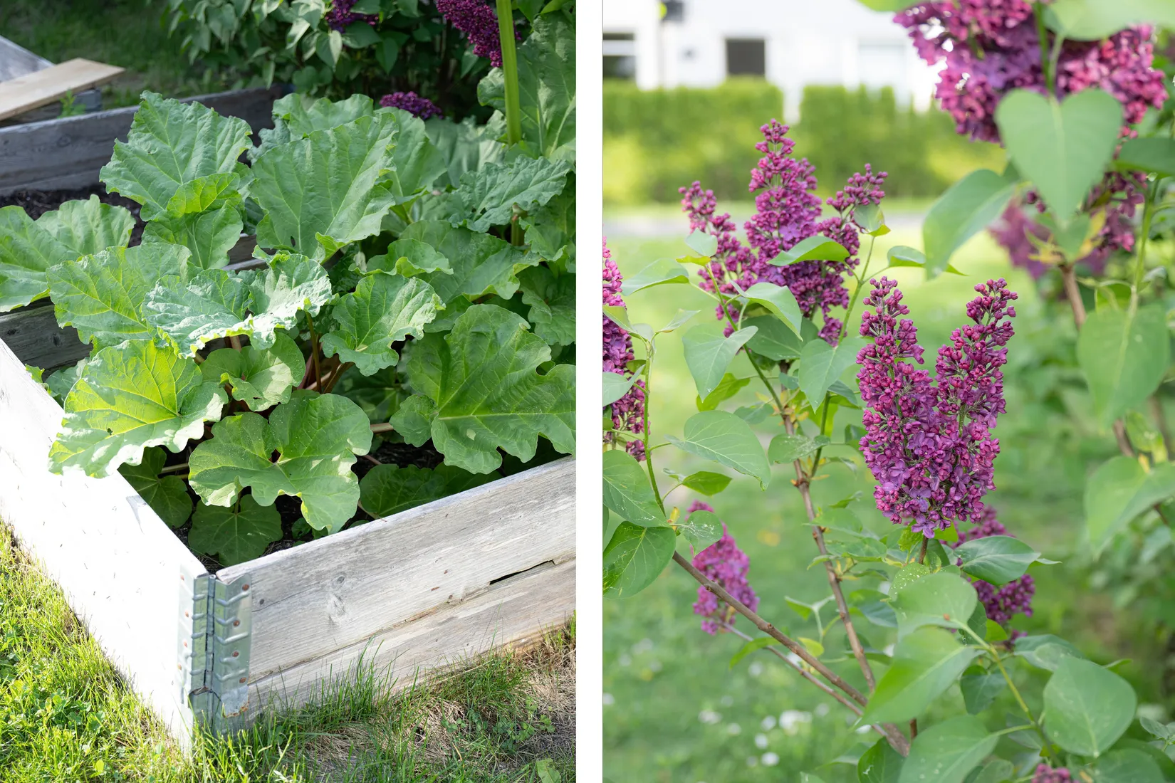 Bostadsrätt, Bergsrådsvägen 34, Bagarmossen, Stockholm