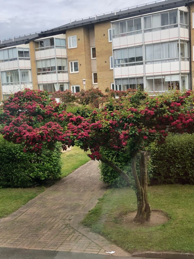 Bostadsrätt, Bergstrands väg 2A, Simrishamn - Centralt, Simrishamn