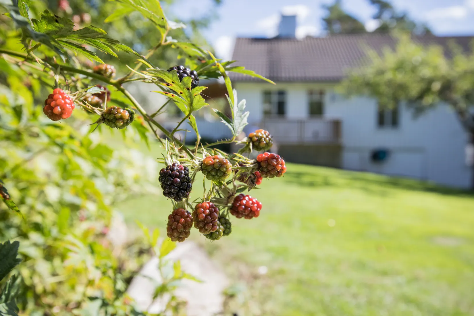 Villa, Åsebyberg 845, Rörtången, Kungälv