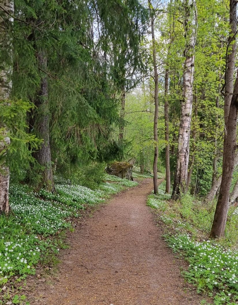Fritidshus, Backaänget 18, Folkärna, Avesta