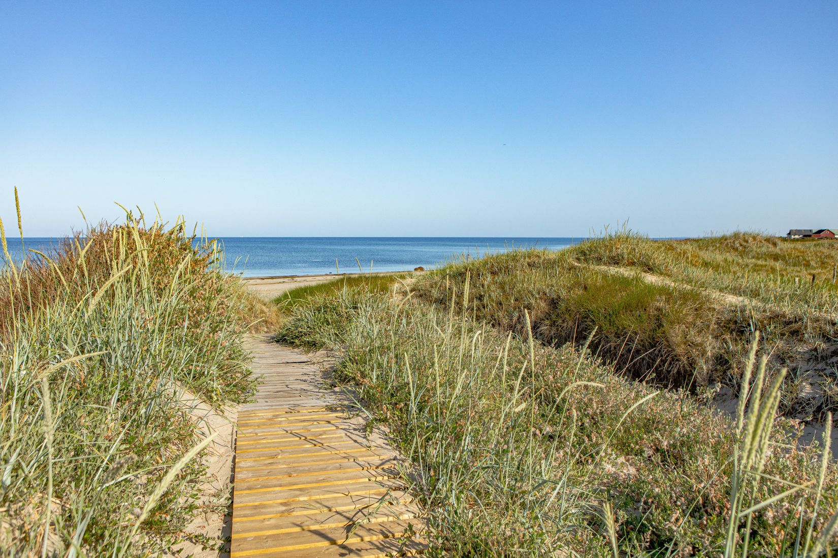 Tomt, Rosendalsvägen 1 Tomt A, Rosendal, Falkenberg