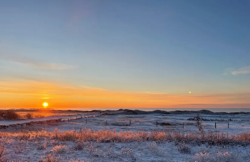 Tomt, Rosendalsvägen 1 Tomt A, Rosendal, Falkenberg