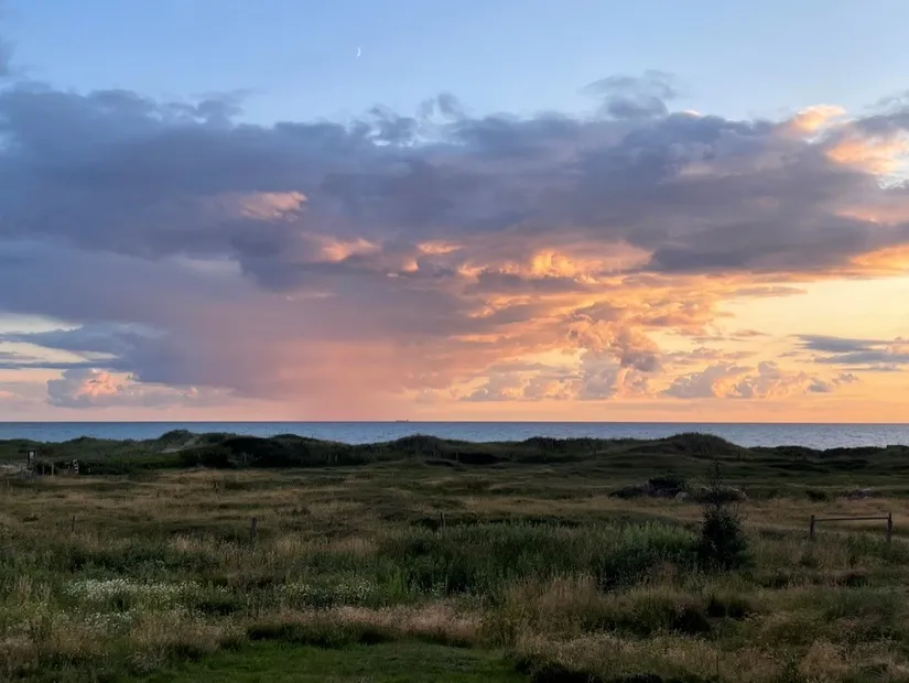 Tomt, Rosendalsvägen 1 Tomt A, Rosendal, Falkenberg