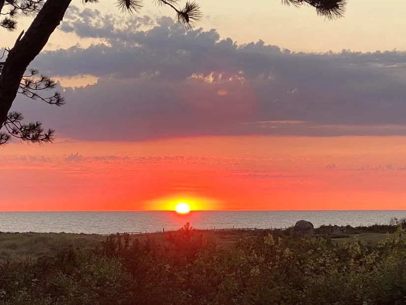 Tomt, Rosendalsvägen 1 Tomt A, Rosendal, Falkenberg