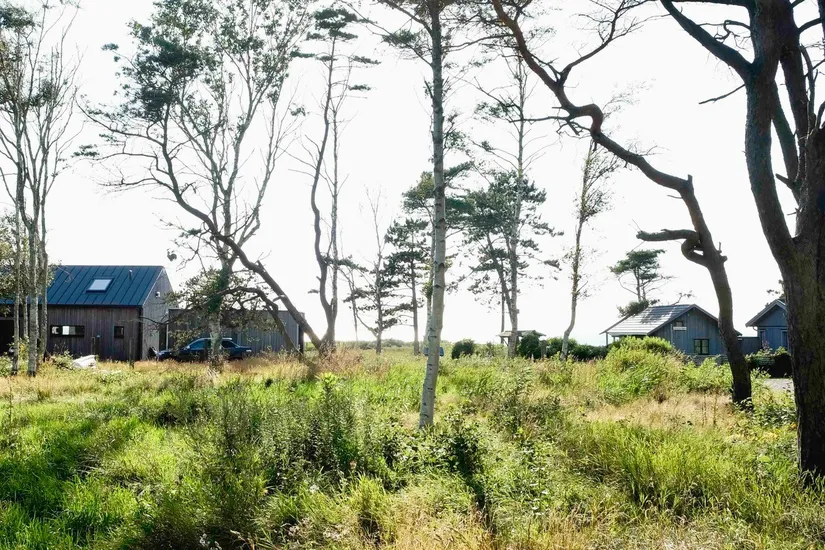 Tomt, Rosendalsvägen 1 Tomt A, Rosendal, Falkenberg