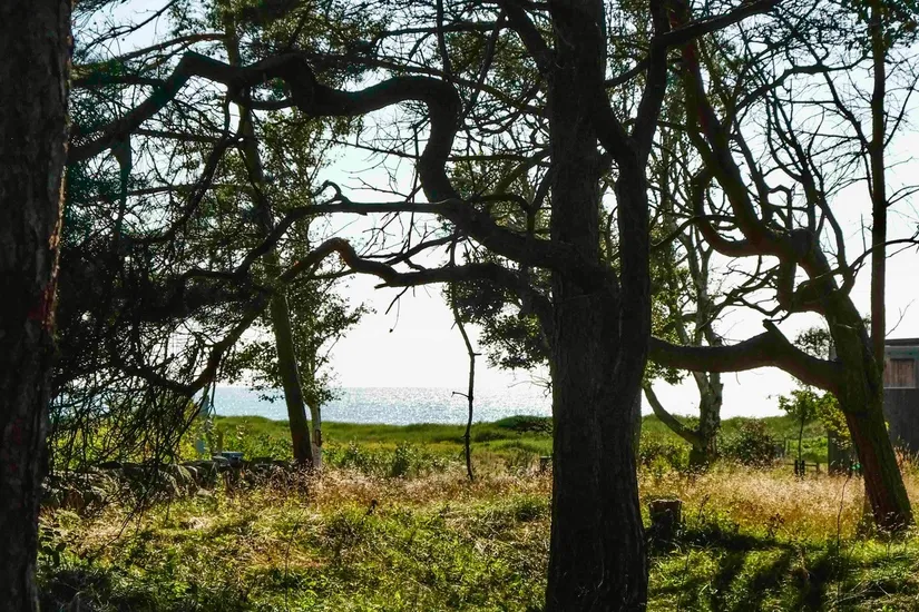 Tomt, Rosendalsvägen 1 Tomt A, Rosendal, Falkenberg