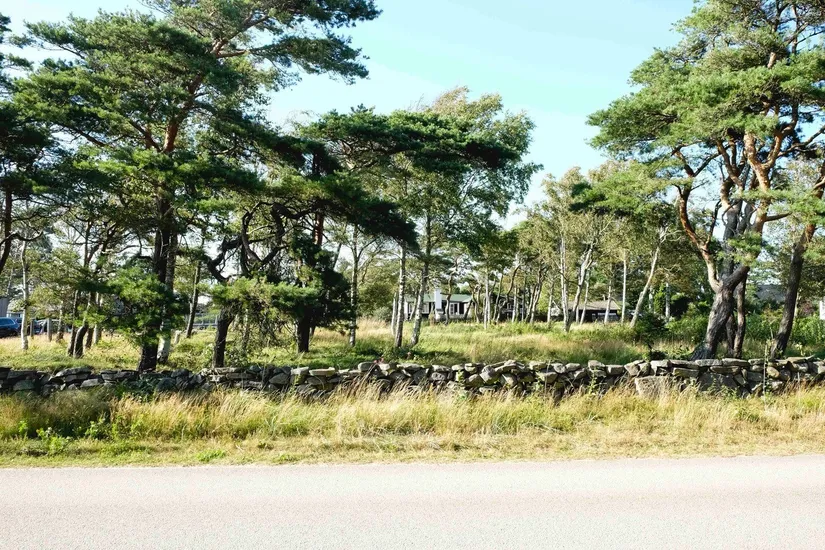 Tomt, Rosendalsvägen 1 Tomt A, Rosendal, Falkenberg