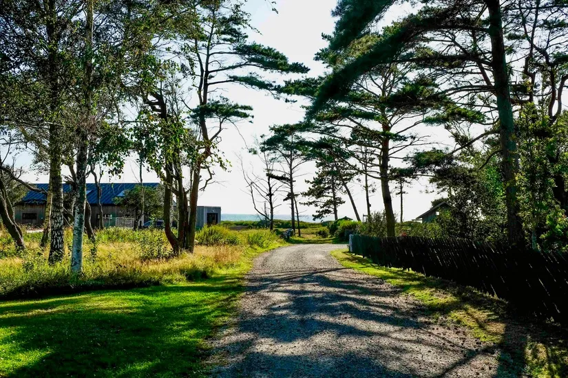 Tomt, Rosendalsvägen 1 Tomt A, Rosendal, Falkenberg