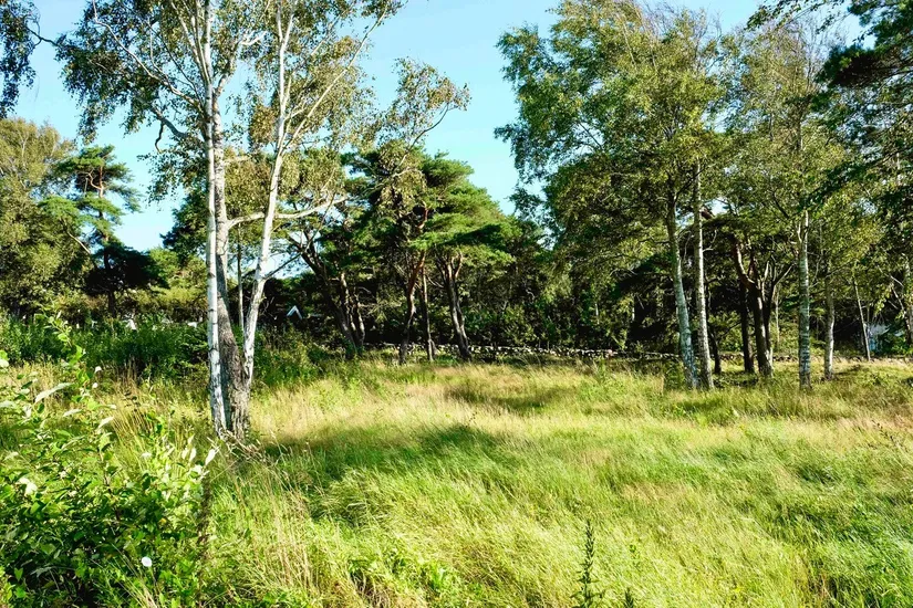 Tomt, Rosendalsvägen 1 Tomt A, Rosendal, Falkenberg