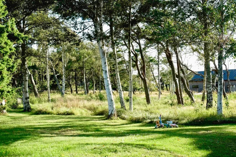 Tomt, Rosendalsvägen 1 Tomt A, Rosendal, Falkenberg