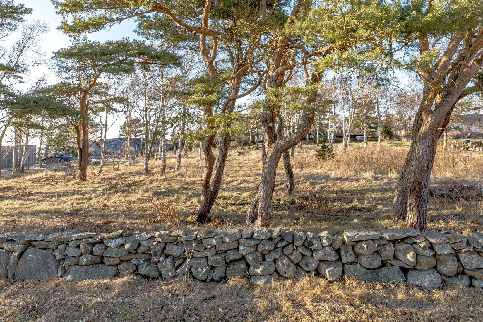 Tomt, Rosendalsvägen 1 Tomt A, Rosendal, Falkenberg