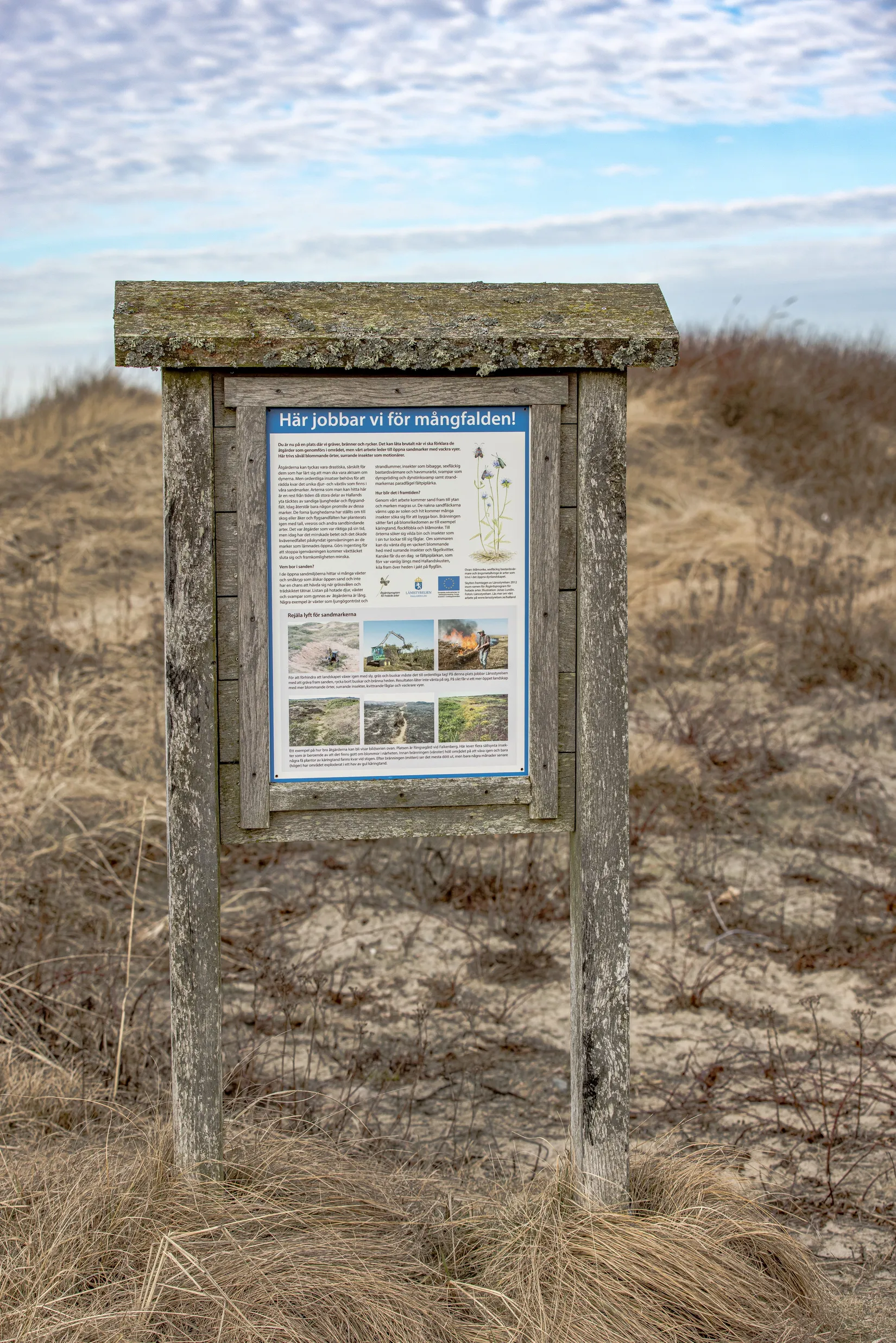 Tomt, Rosendalsvägen 1 Tomt A, Rosendal, Falkenberg