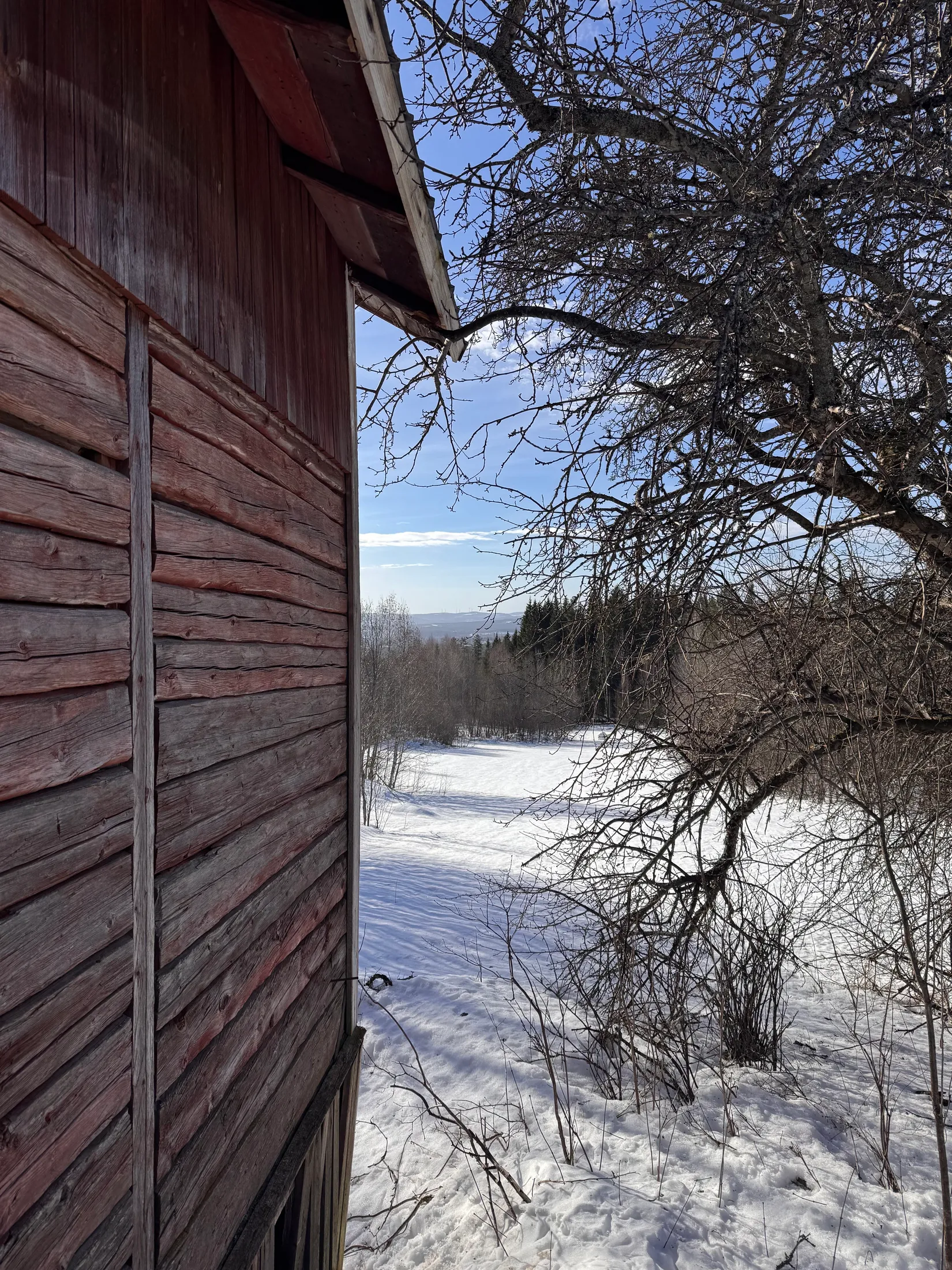 Gård/Skog, Saknar adress, Österås, Ljusdal