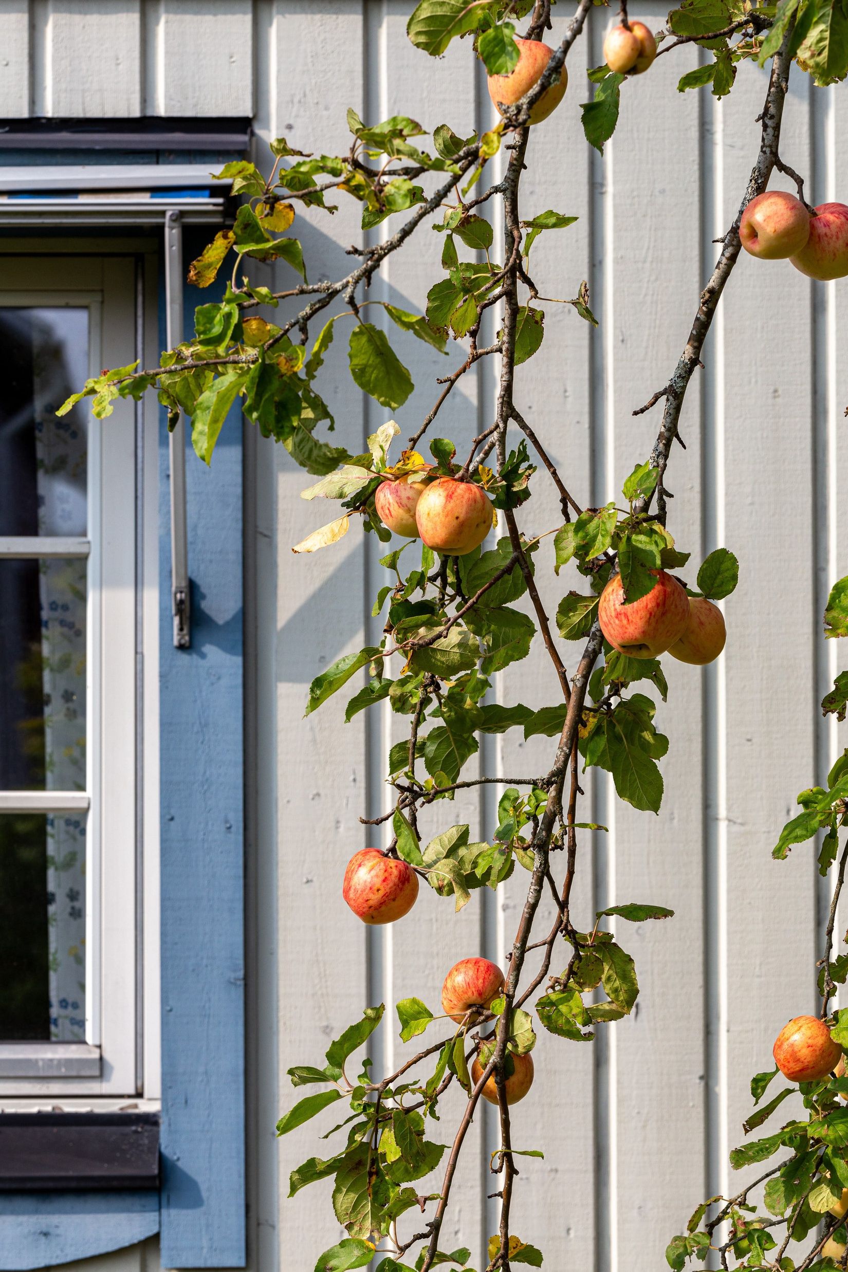Villa, Bäcktorp 142, Bäck, Lindesberg