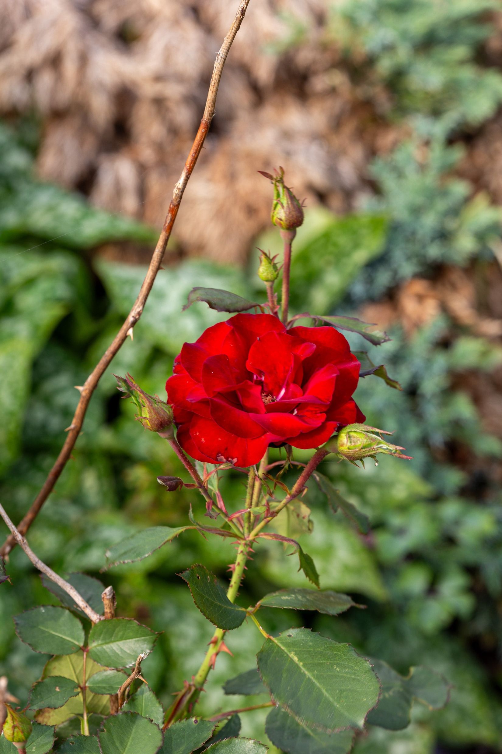 Villa, Bäcktorp 142, Bäck, Lindesberg