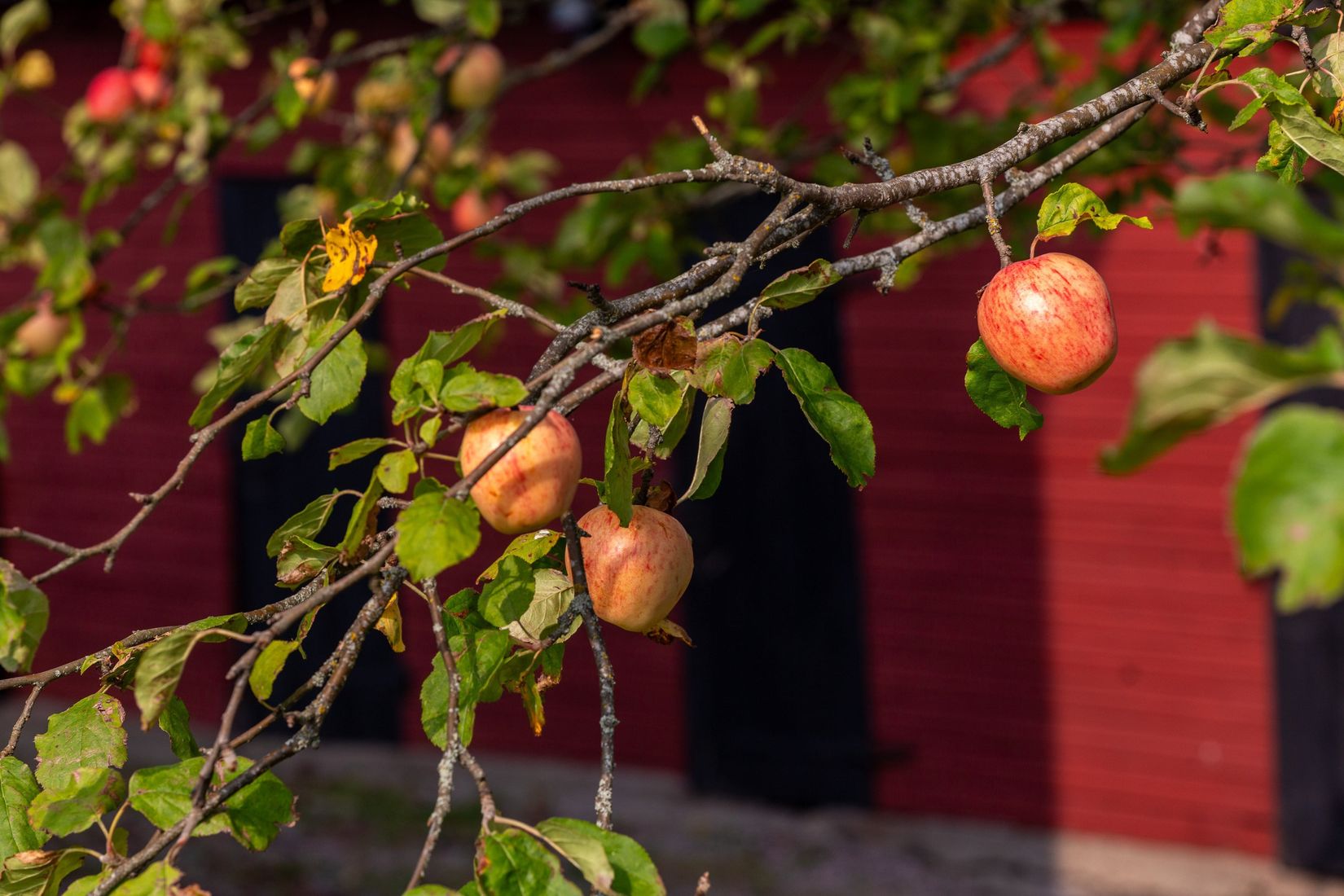 Villa, Bäcktorp 142, Bäck, Lindesberg