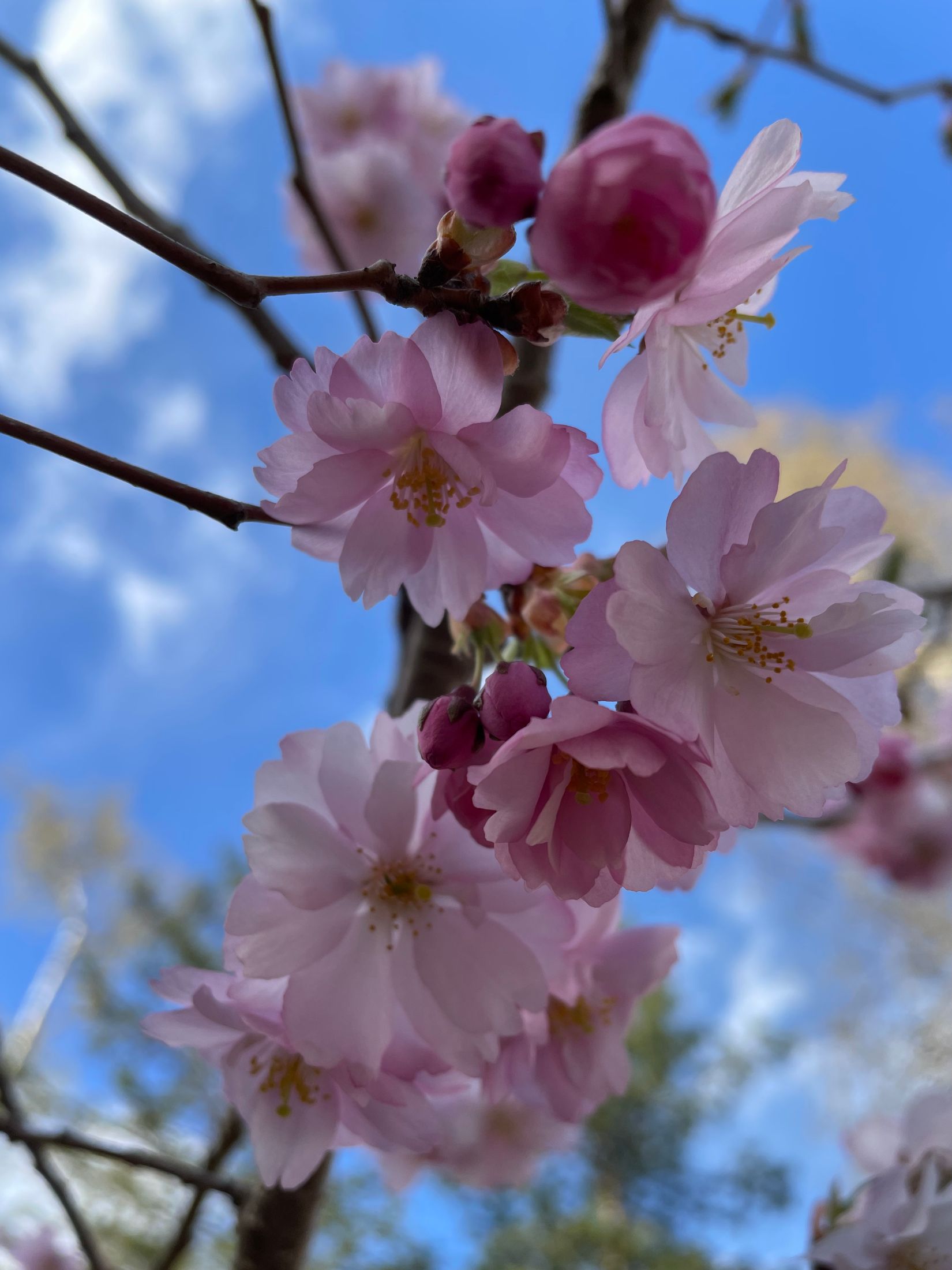 Villa, Björnbergsvägen 18A, Kummelnäs, Nacka