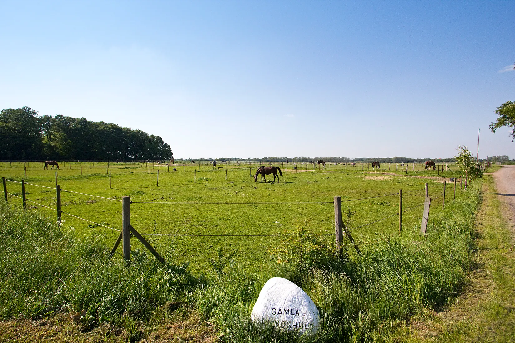 Bostadsrätt, Kantorsgatan 9E, Pålsjö, Helsingborg