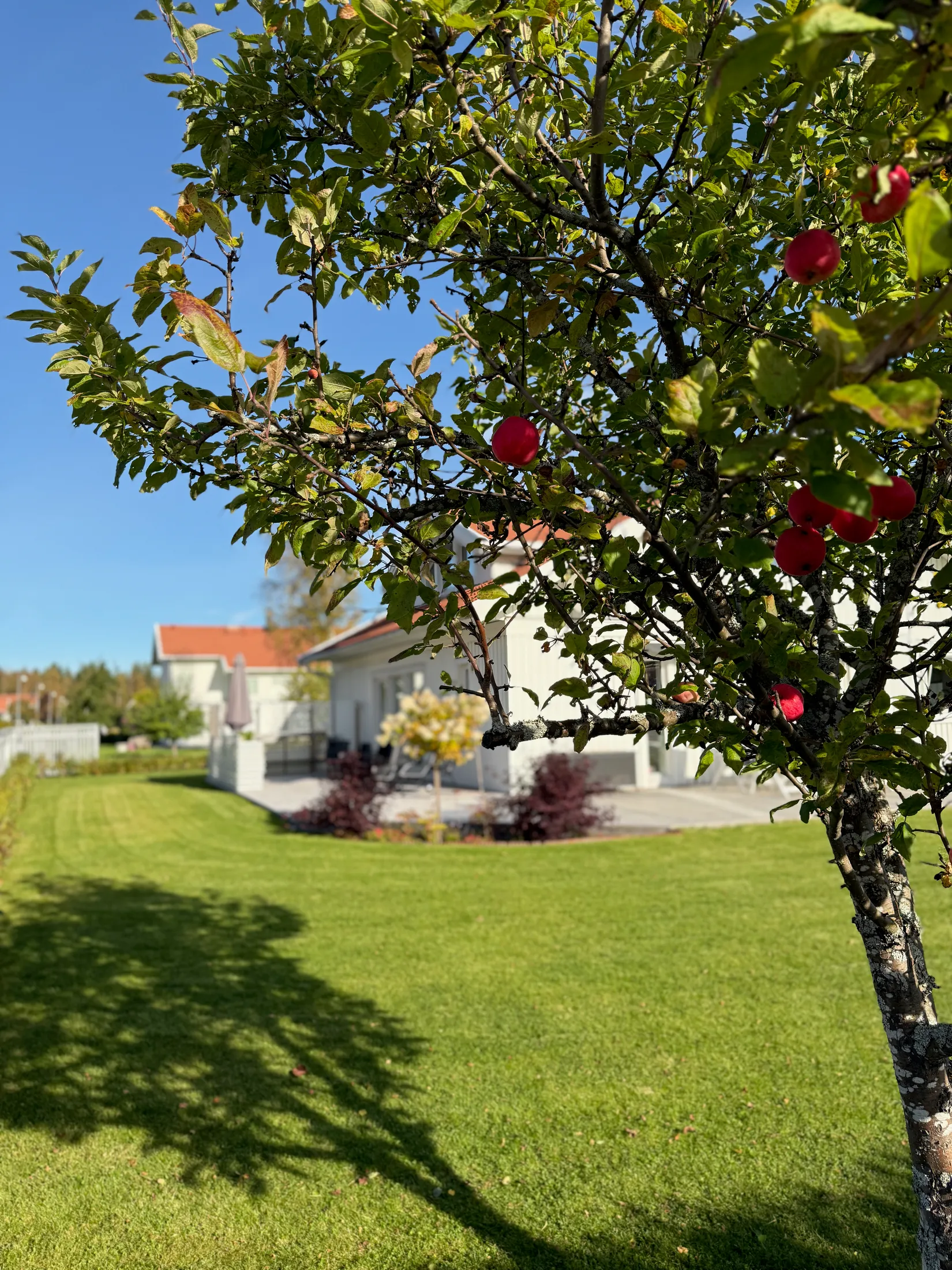 Villa, Videvägen 16, Umedalen, Umeå
