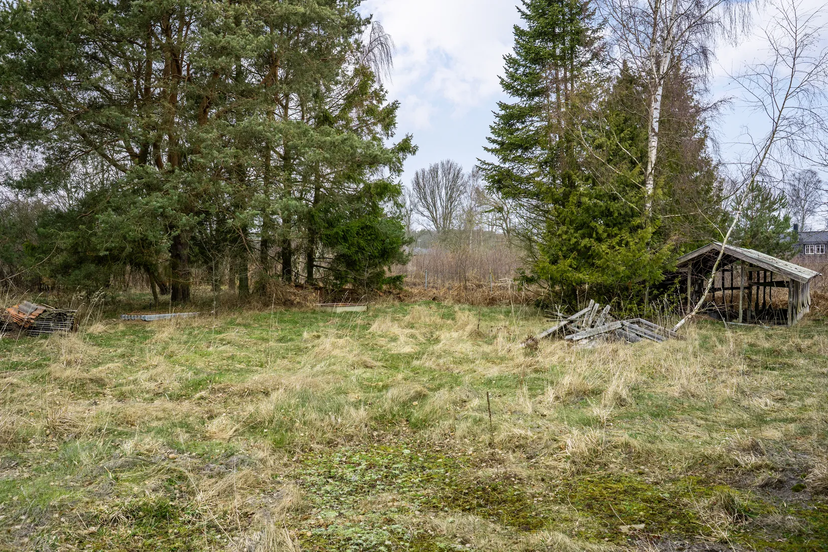 Gård/Skog, SÖLVESBORG MJÄLLBY 9:14, Krokås, Sölvesborg