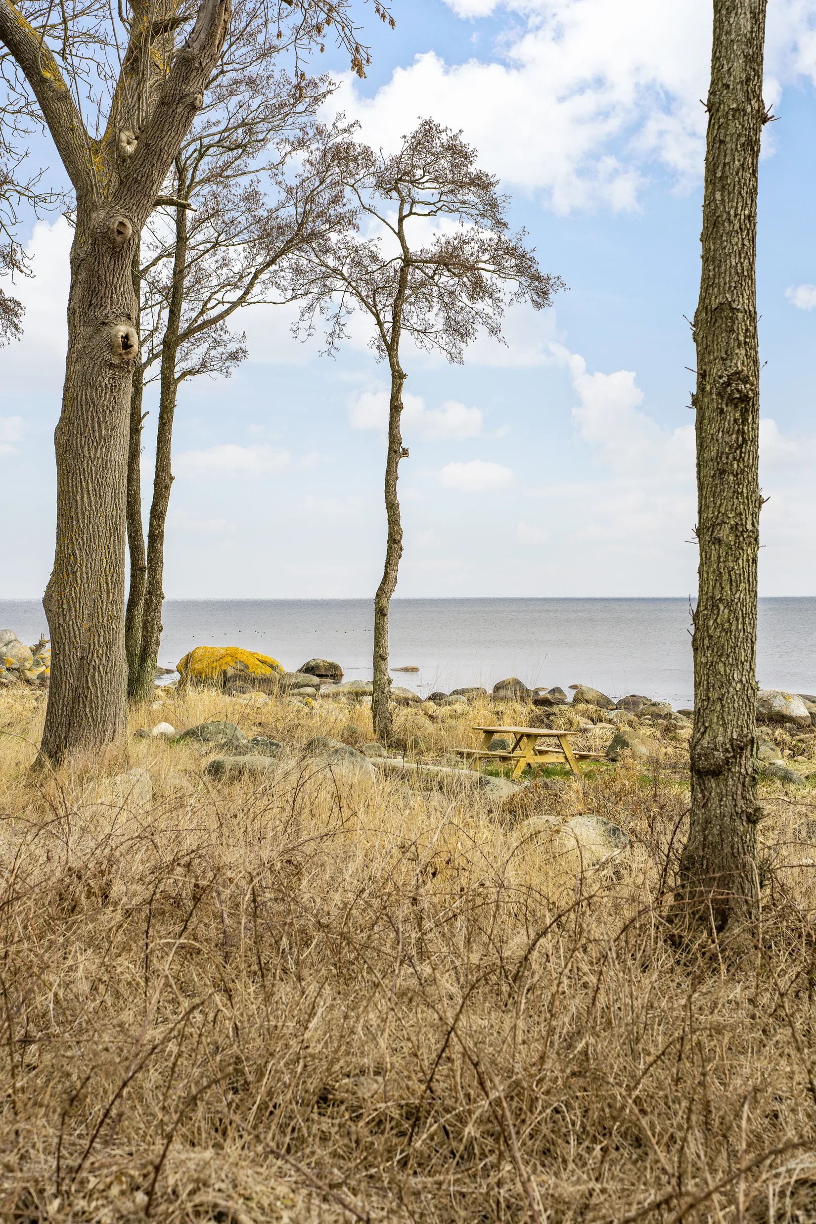 Gård/Skog, SÖLVESBORG MJÄLLBY 9:14, Krokås, Sölvesborg