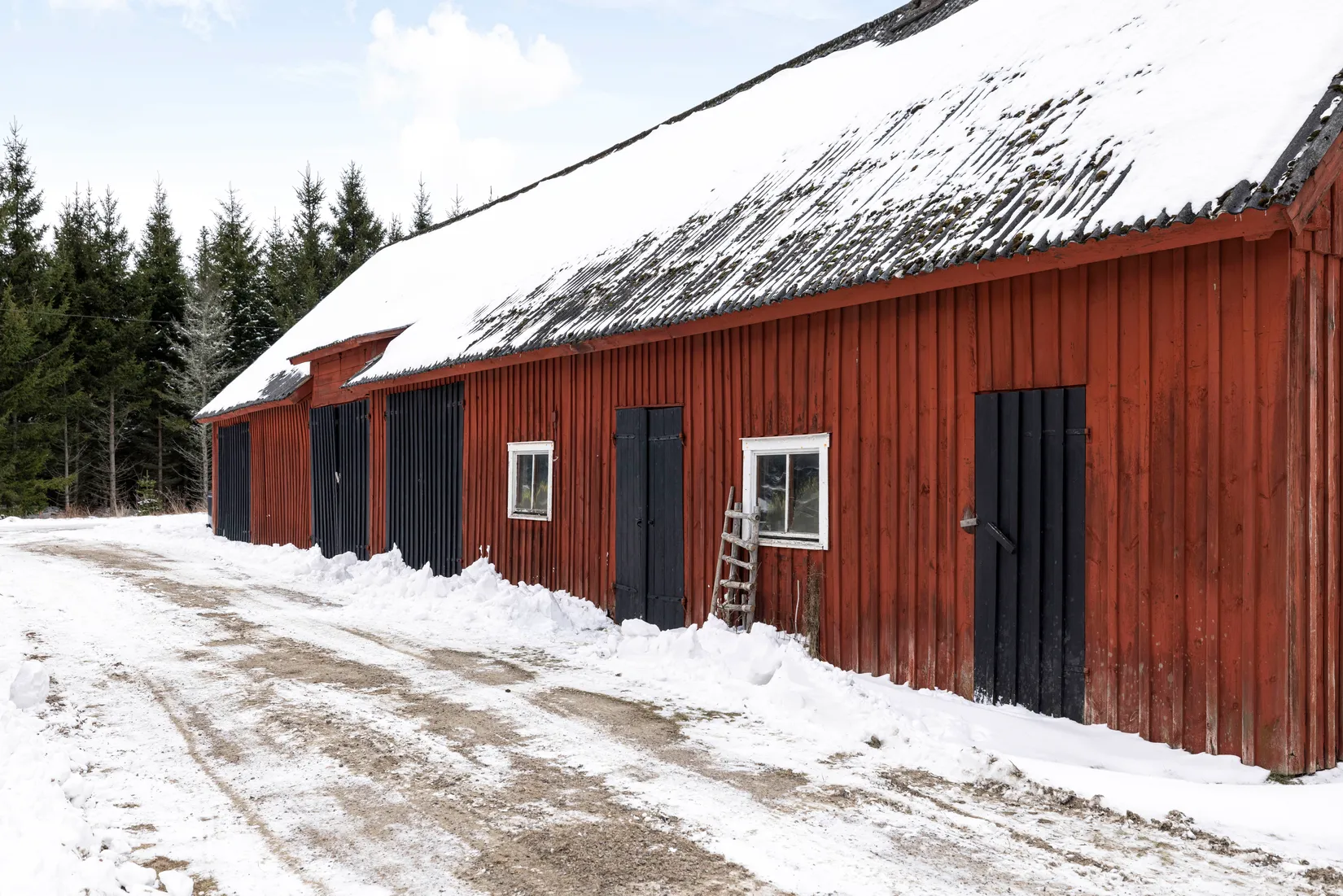 Gård/Skog, Högarydsvägen 32, Hishult , Laholm