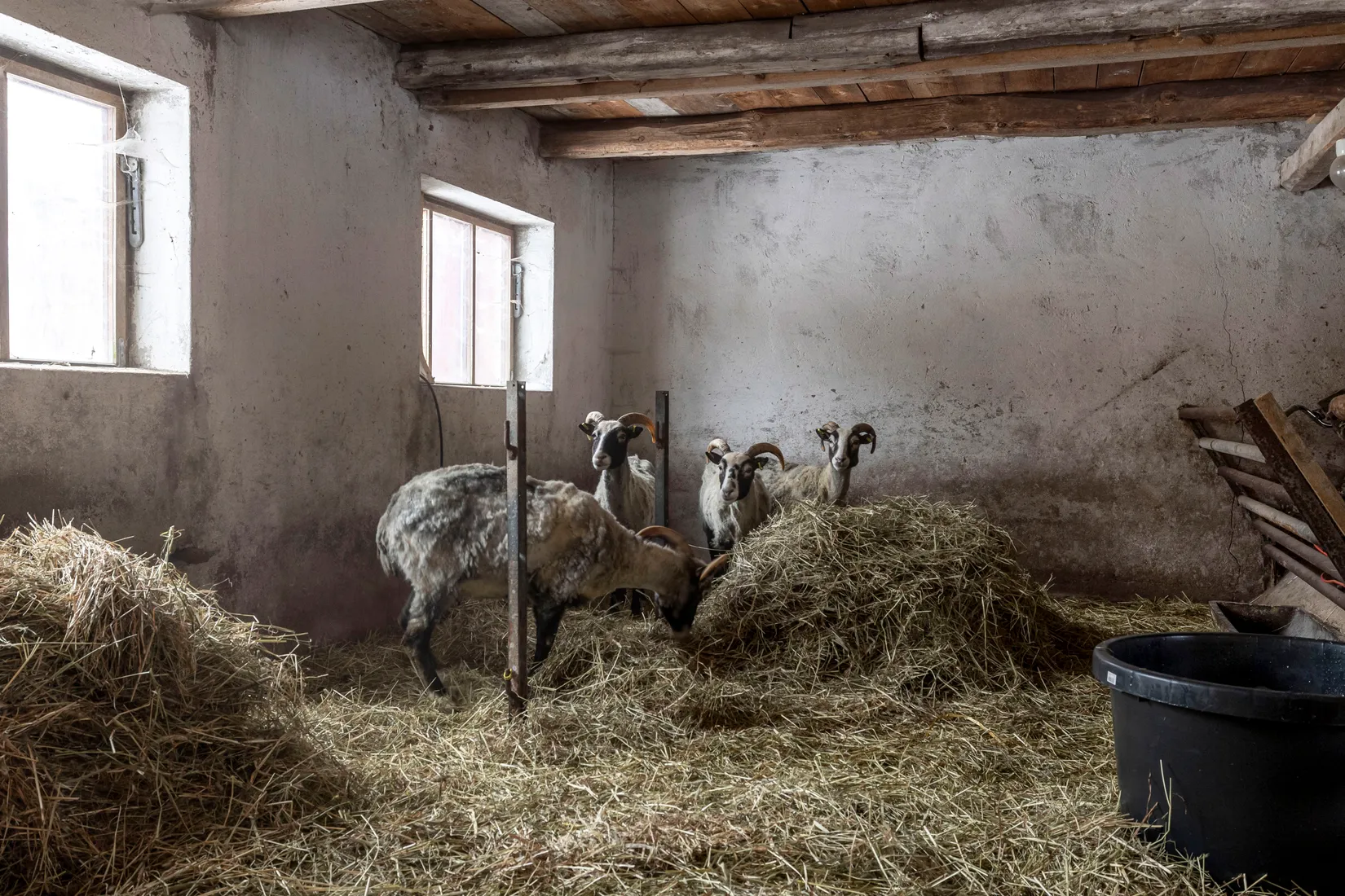 Gård/Skog, Högarydsvägen 32, Hishult , Laholm