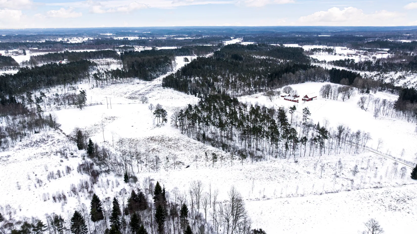 Gård/Skog, Högarydsvägen 32, Hishult , Laholm