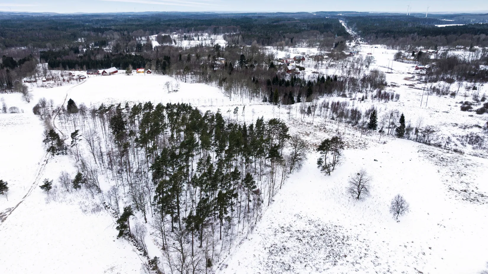 Gård/Skog, Högarydsvägen 32, Hishult , Laholm