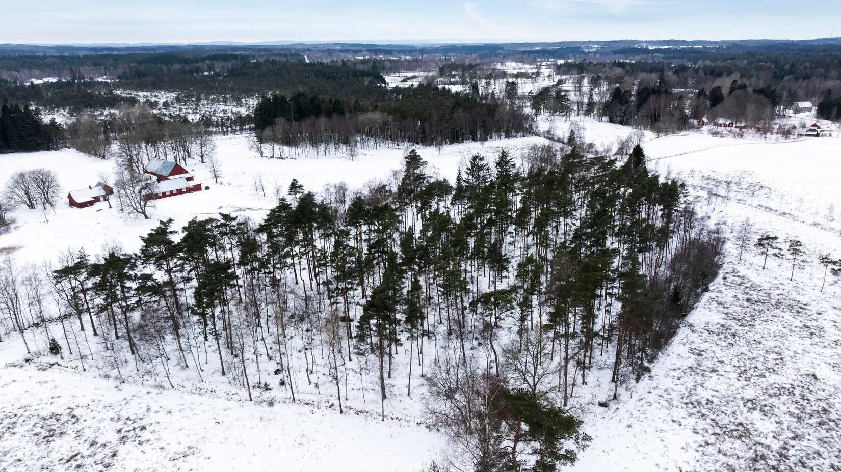 Gård/Skog, Högarydsvägen 32, Hishult , Laholm