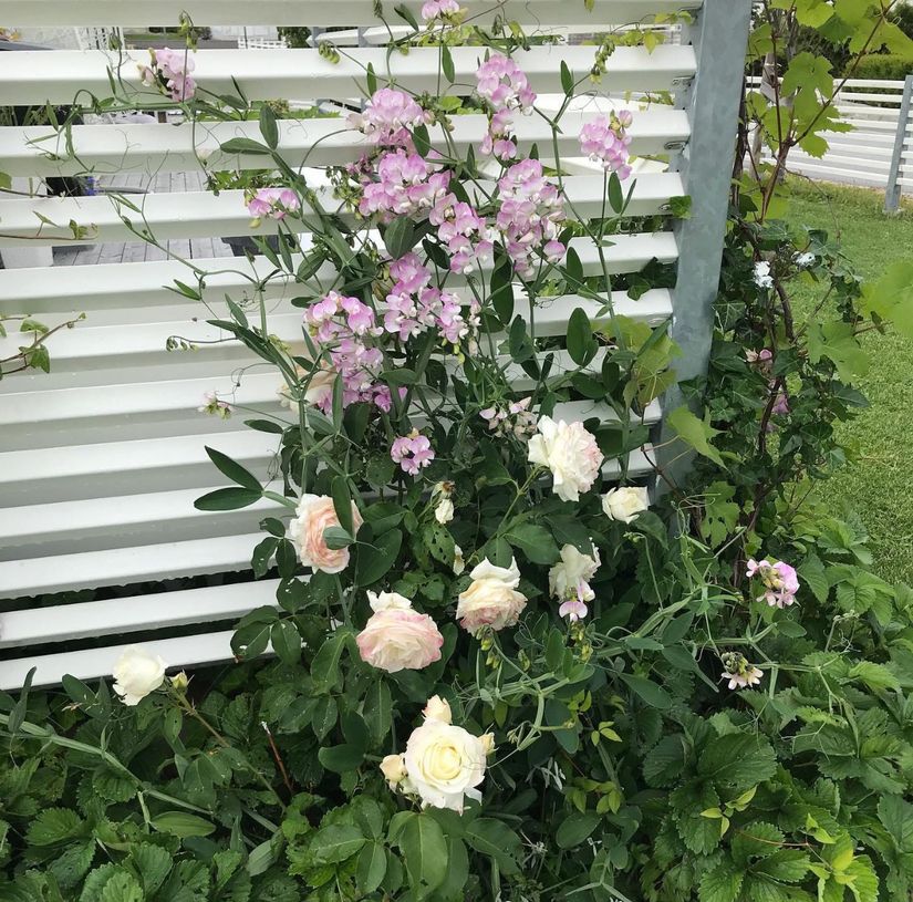 Villa, Torparvägen 15, Bro/Sandhagen, Upplands-Bro