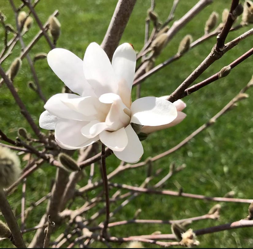 Villa, Torparvägen 15, Bro/Sandhagen, Upplands-Bro