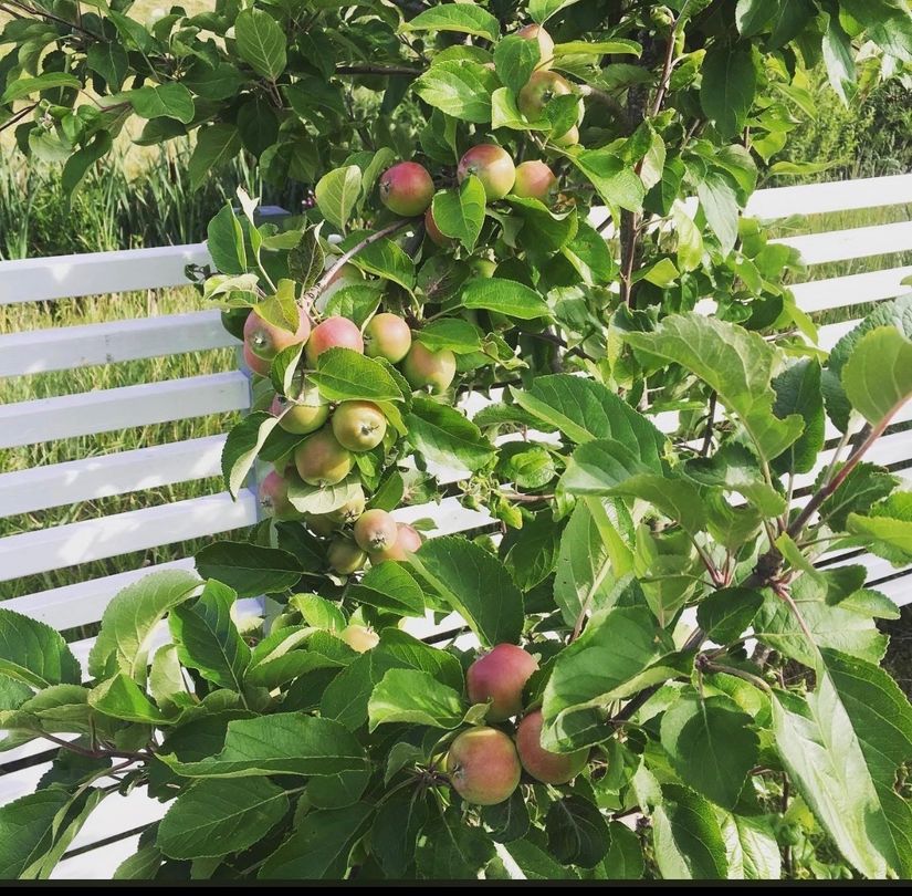 Villa, Torparvägen 15, Bro/Sandhagen, Upplands-Bro