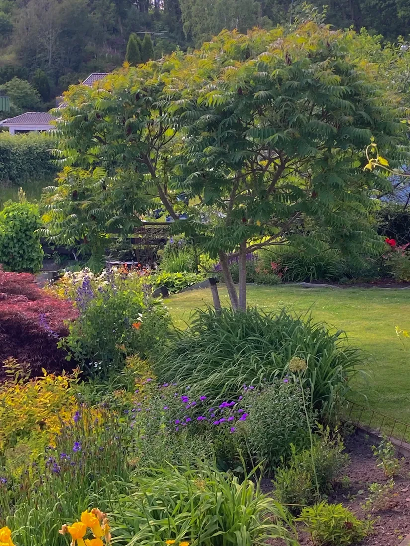 Villa, Lerdalsvägen 7, Veddige, Varberg