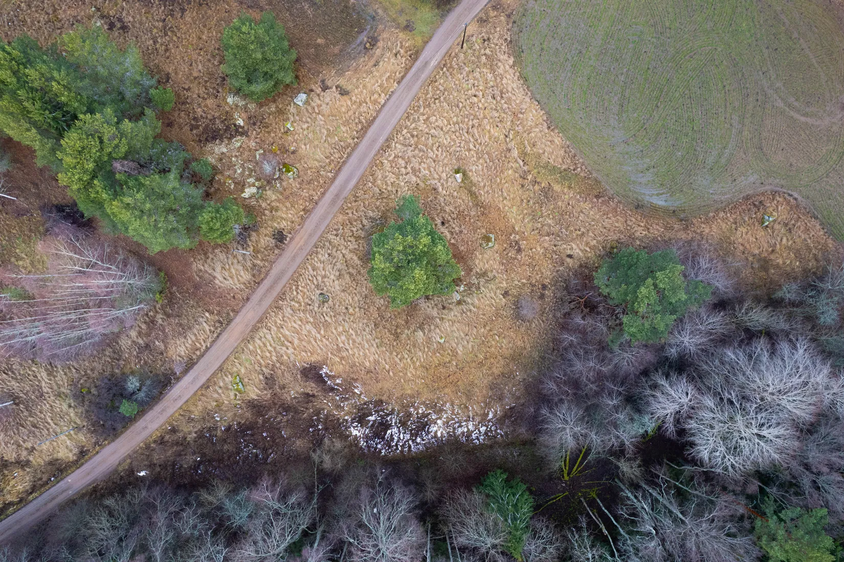 Tomt, Rickebasta Nyvallen 370C, Alsike, Knivsta