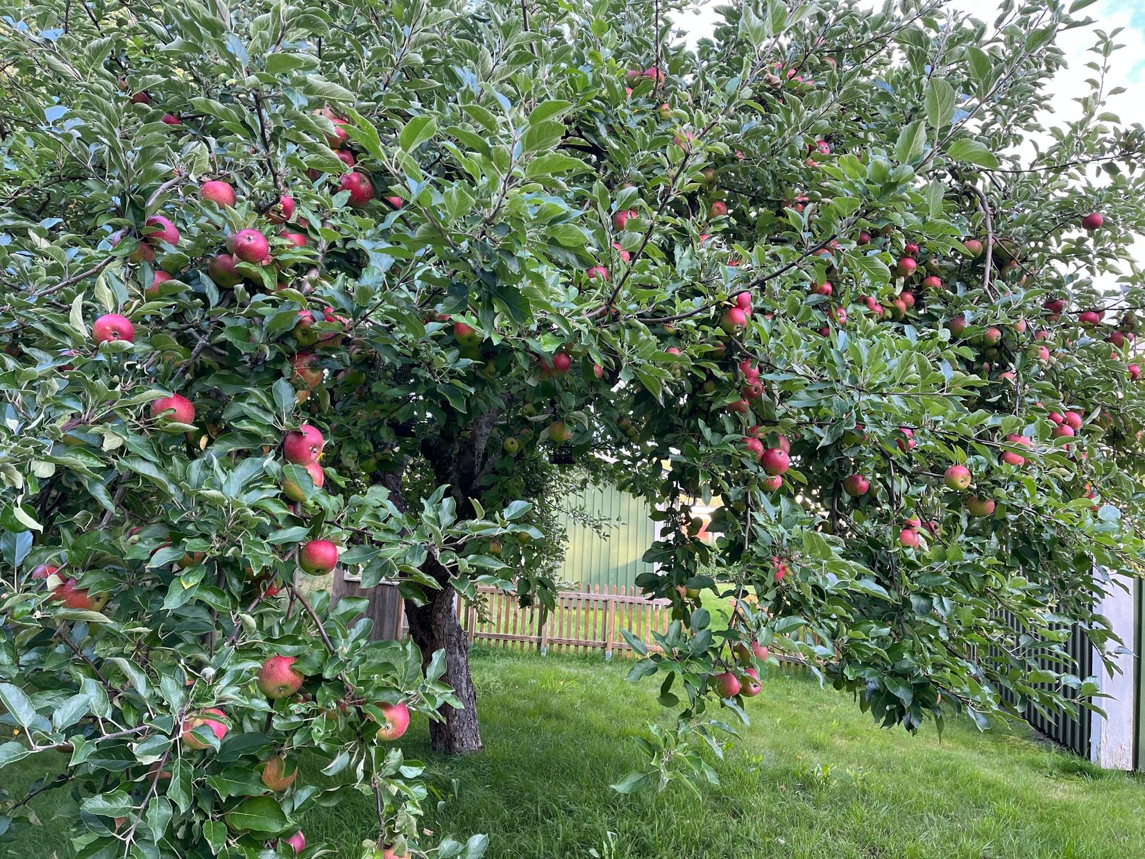 Villa, Trindyxgränd 1, Ryttarhagen, Mjölby