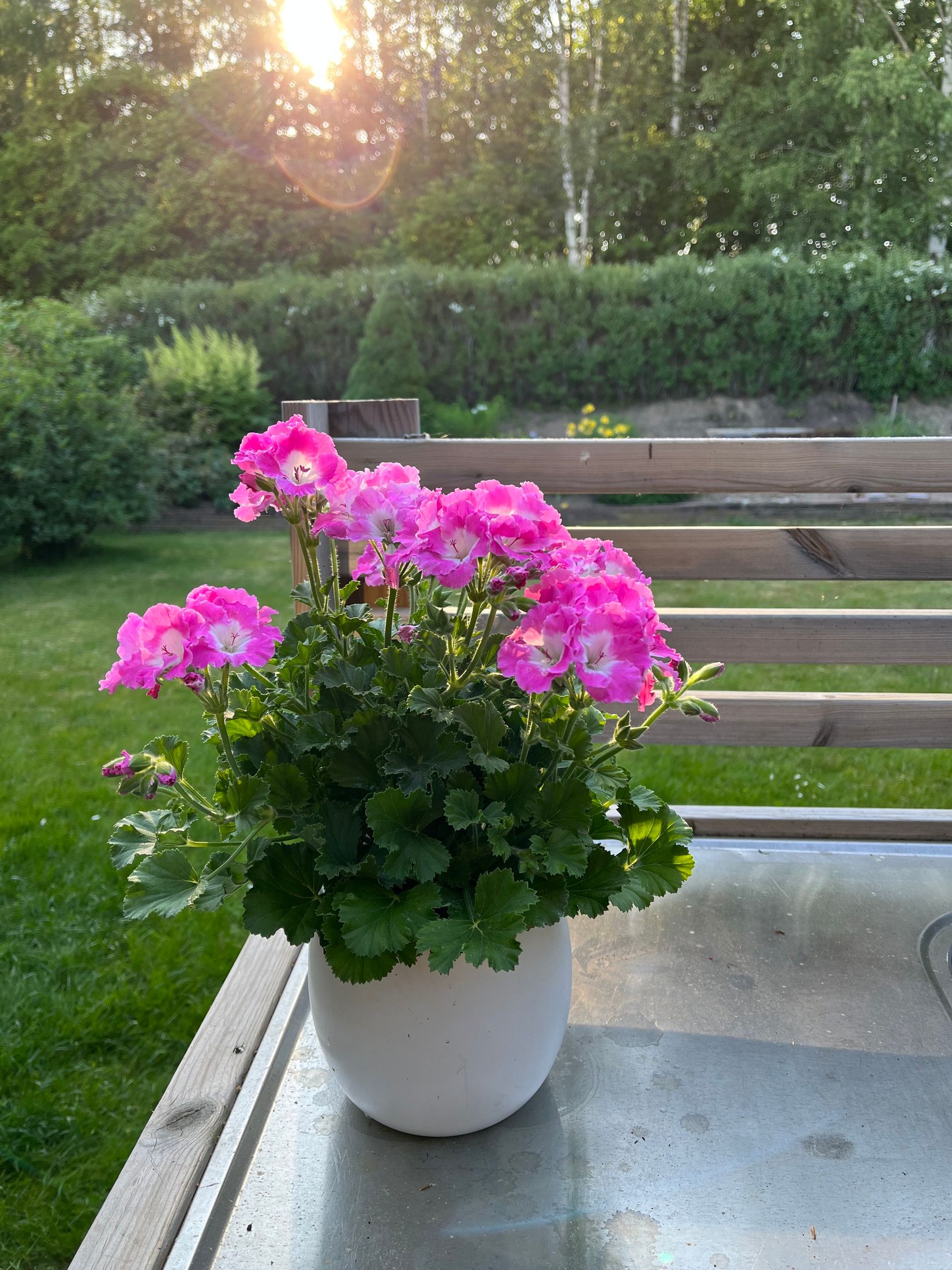 Villa, Trindyxgränd 1, Ryttarhagen, Mjölby