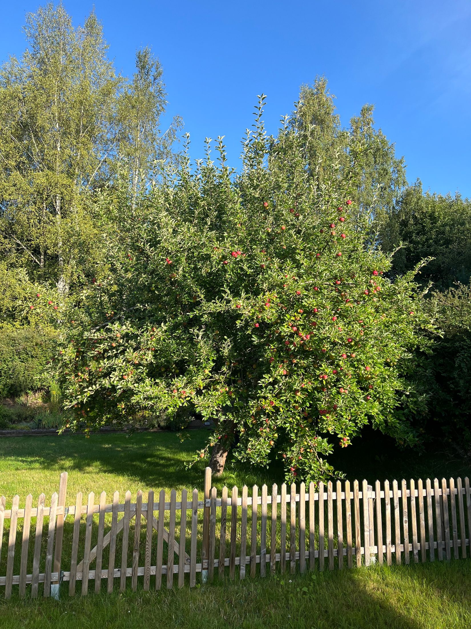 Villa, Trindyxgränd 1, Ryttarhagen, Mjölby