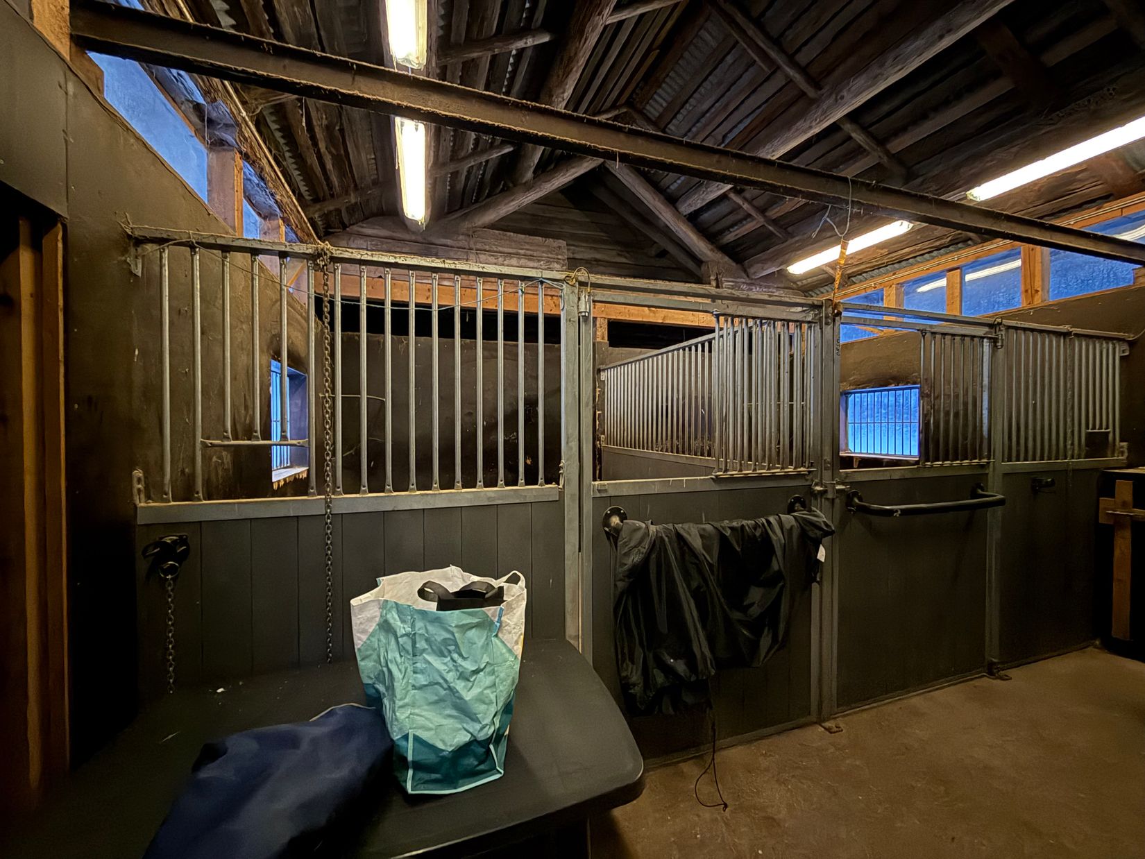 Villa, Patevägen 9, Hansjö, Orsa