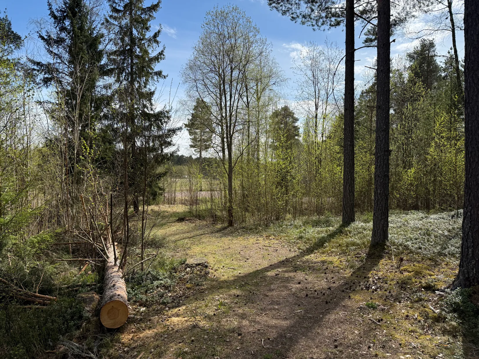 Villa, Patevägen 9, Hansjö, Orsa