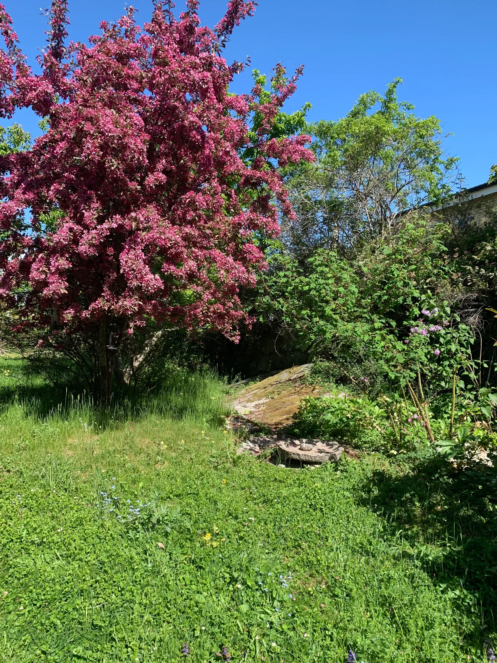 Villa, Bergencrantz väg 4, Gamla Kungsängen, Upplands-Bro