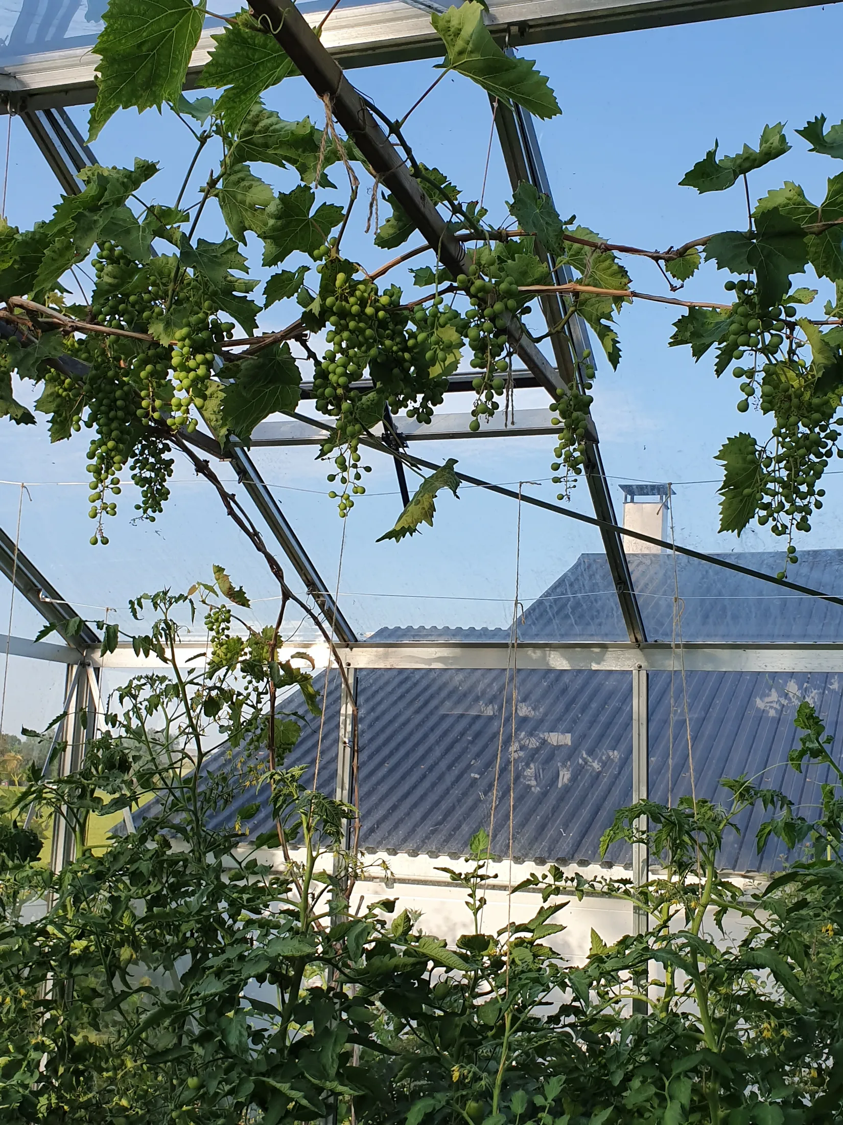 Villa, Östra Blekingevägen 27, Hammar, Kristianstad