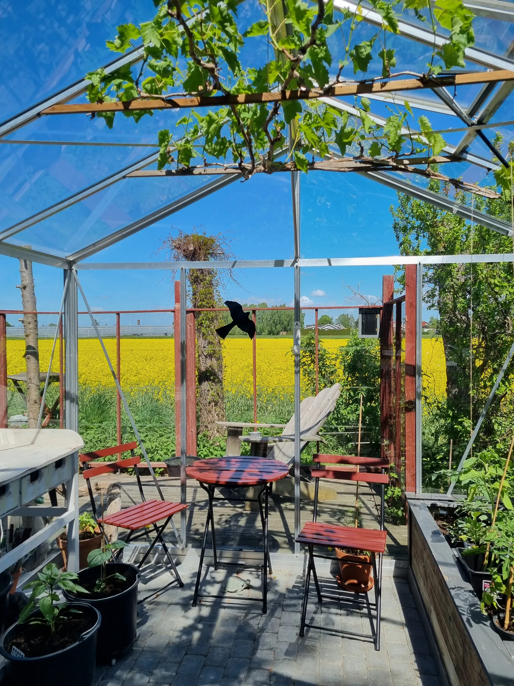 Villa, Östra Blekingevägen 27, Hammar, Kristianstad