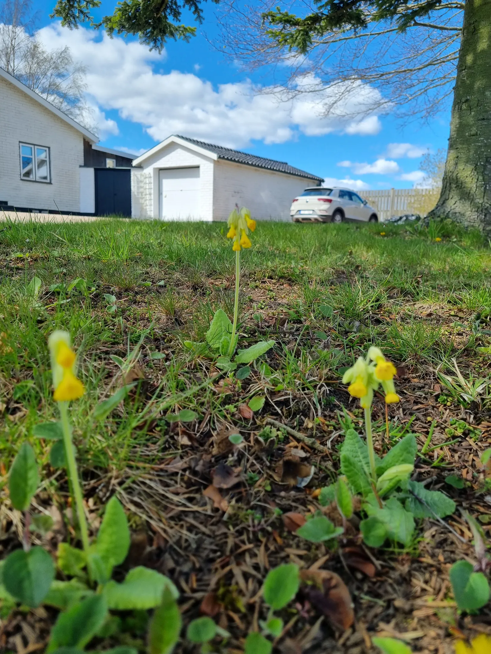 Villa, Östra Blekingevägen 27, Hammar, Kristianstad