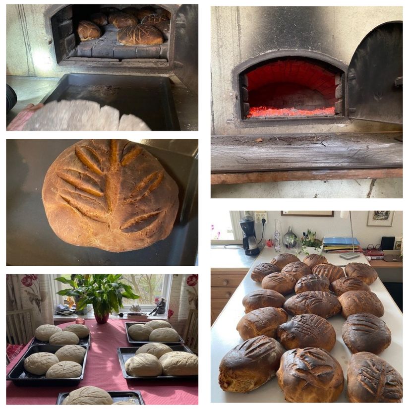 Gård/Skog, Ahlavägen 4, Ahla, Laholm