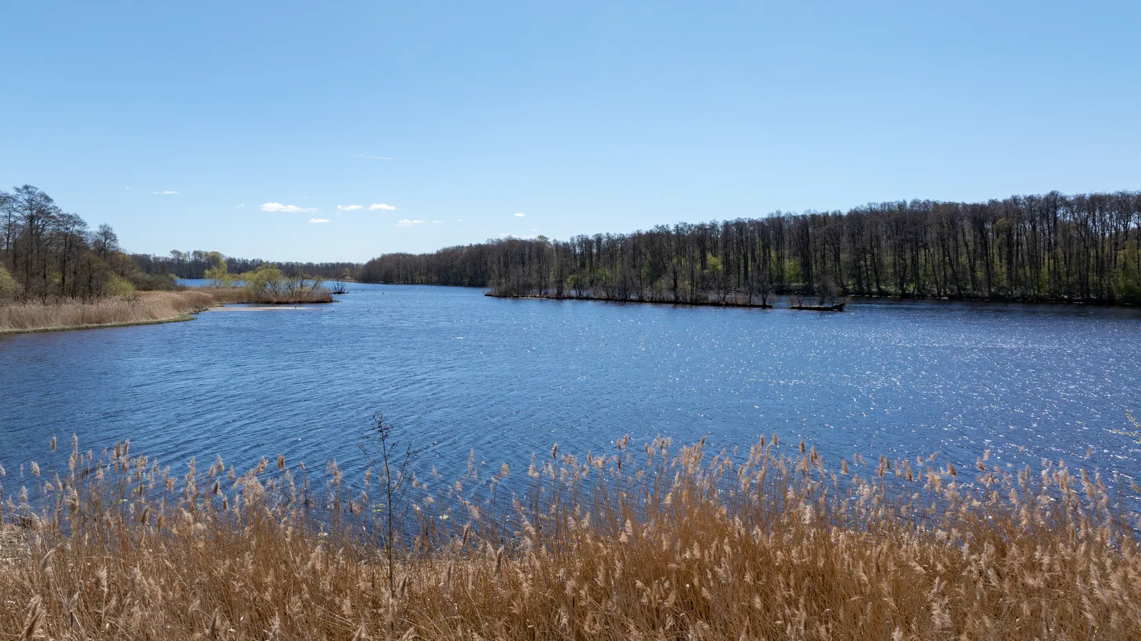 Gård/Skog, Ahlavägen 4, Ahla, Laholm
